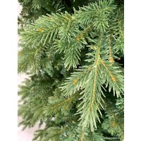 Ель GreenTerra Монсанта 1.8 м