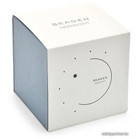 Наручные часы Skagen SKW6488