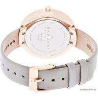 Наручные часы Skagen SKW2139