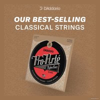 Струны для гитары D'Addario EJ45