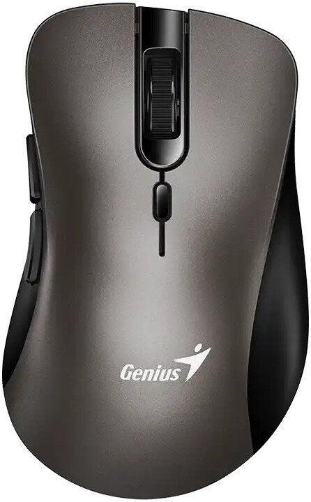 

Мышь Genius Ergo 8100S (титановый)