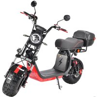 Электроскутер White Siberia CityCoco WS-Pro 2WD 4000W 21Ah