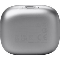 Наушники JBL Live Flex 3 (серебристый)