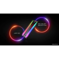 SSD ADATA XPG Spectrix S40G RGB 2TB AS40G-2TT-C