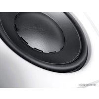  Dynaudio IW 17