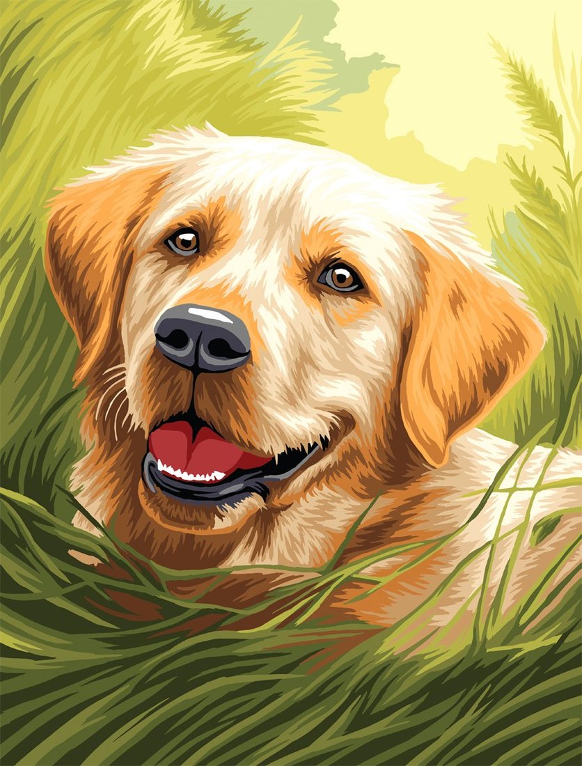 

Картина по номерам Три совы Лабрадор КХ3040_53846