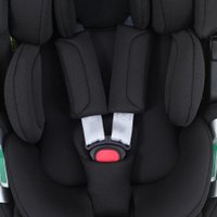 Детское автокресло Rant Aster Zero AY378 (черный)