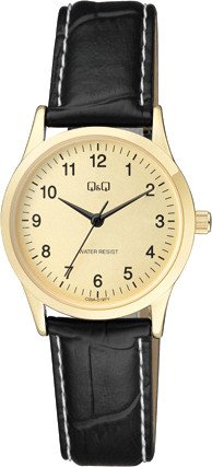 

Наручные часы Q&Q Standard C09AJ019