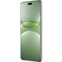 Телефон Huawei nova 13 Pro MIS-LX9 12GB/512GB (дымчатый зеленый)