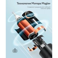 Электрическая зубная щетка Fairywill P11 (черный, 8 насадок)