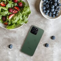 Смартфон HONOR X7c 6GB/128GB (лесной зеленый)