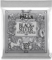 Струны для гитары Ernie Ball 2406 Palla Nylon Clear Silver