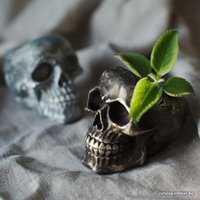 Кашпо Нашы майстры Череп