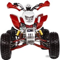 Квадроцикл IRBIS ATV 250S