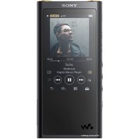 Hi-Fi плеер Sony NW-ZX300 64GB (черный)