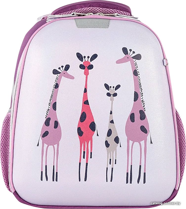 Школьный рюкзак Ecotope Kids 057-540Y-8-CLR