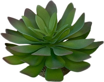 

Искусственное растение Terra Della Эхеверия 2 242/465851