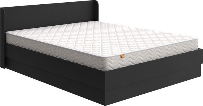 

Кровать Ormatek Proson Practica с ПМ 180x190 (черный)