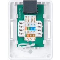 Розетка компьютерная Cabeus WS-8P8C-Cat.6-1