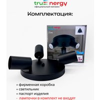 Припотолочная люстра TruEnergy 21490