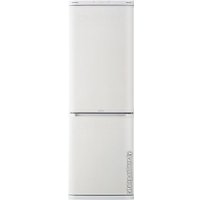 Холодильник Samsung RL28FBSW