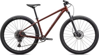 Rockhopper Expert 27.5 M 2023 (Gloss Rusted Red/Satin Rusted Red)