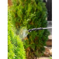 Аккумуляторный опрыскиватель Denzel D-12LA