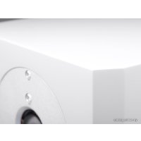 Напольная акустика Dynaudio Excite X38