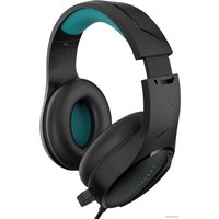 Наушники Thunderobot H21 в Пинске