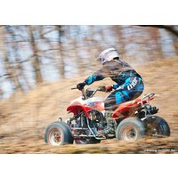 Квадроцикл IRBIS ATV 250S