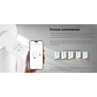 Электрический чайник RED Solution RK-M216S