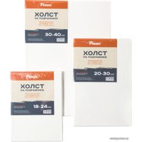 Холст для рисования Pinax 40x50 см 20.4050