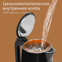 Электрический чайник RED Solution RK-M1301D