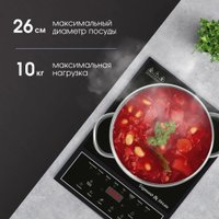 Настольная плита Zigmund & Shtain ZIP-571