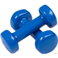 Набор гантелей Indigo 92005 IR 2x1 кг (синий)