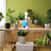 Увлажнитель воздуха Neoclima Vision LED 2.5L white