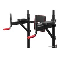 Турник с брусьями Alpin Athletics G-11