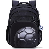 Школьный рюкзак SkyName R3-267 + брелок мячик