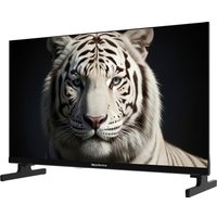 Телевизор Topdevice 24" Google TV TDWC24BH5260V
