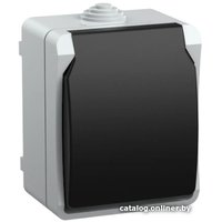 Розетка IEK Форс РСб20-3-ФСр