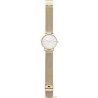 Наручные часы Skagen SKW6443