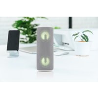 Беспроводная колонка JVC XS-E423 (серый)