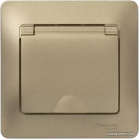 Розетка Schneider Electric Glossa GSL000446 (титан)
