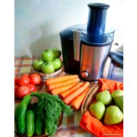 Соковыжималка Bosch MES 3000