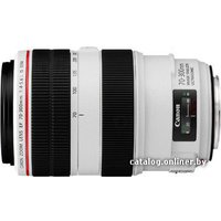 Объектив Canon EF 70-300mm f/4-5.6L IS USM