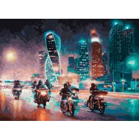 Картина по номерам Белоснежка Жгут пространство железные птицы 309-AB