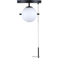 Подвесная люстра LOFT IT Signal 10029C Black