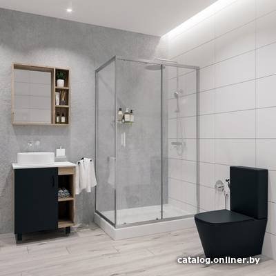 Душевой уголок Niagara NG-6612-08 120x80x190