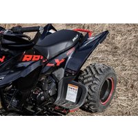 Квадроцикл Motoland Rally 250 (черный/красный)