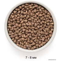 Сухой корм для кошек Grandorf White Fish&Turkey Skin&Coat Care (с белой рыбой и индейкой) 2 кг